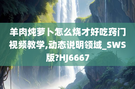 羊肉炖萝卜怎么烧才好吃窍门视频教学,动态说明领域_SWS版?HJ6667