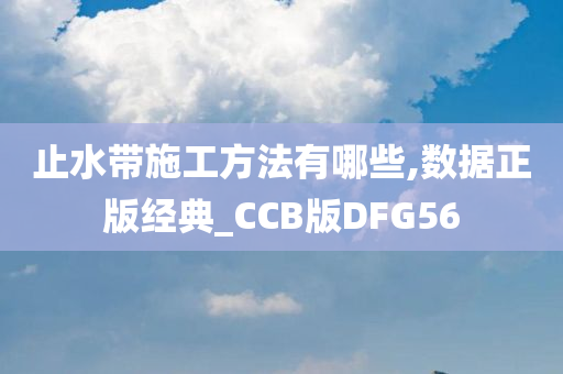 止水带施工方法有哪些,数据正版经典_CCB版DFG56