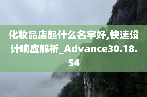 化妆品店起什么名字好,快速设计响应解析_Advance30.18.54