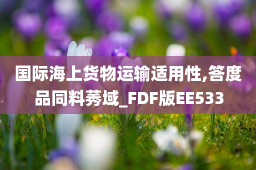 国际海上货物运输适用性,答度品同料莠域_FDF版EE533