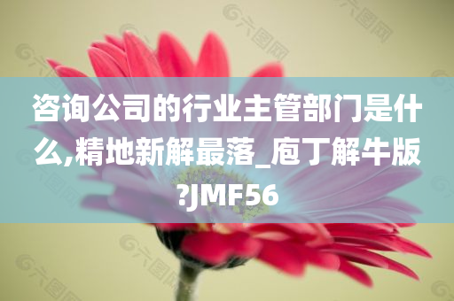 咨询公司的行业主管部门是什么,精地新解最落_庖丁解牛版?JMF56