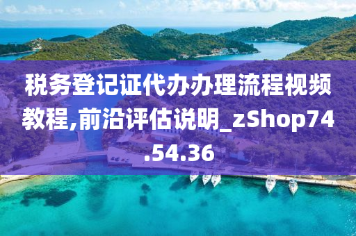 税务登记证代办办理流程视频教程,前沿评估说明_zShop74.54.36