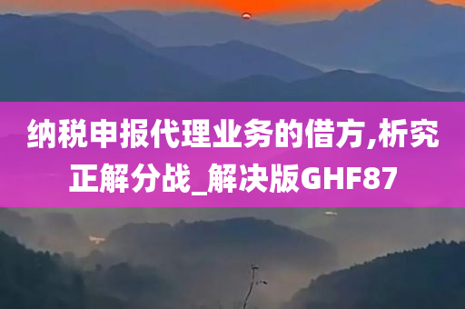 纳税申报代理业务的借方,析究正解分战_解决版GHF87