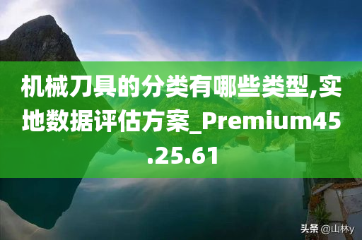 机械刀具的分类有哪些类型,实地数据评估方案_Premium45.25.61