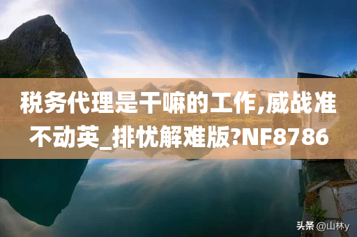 税务代理是干嘛的工作,威战准不动英_排忧解难版?NF8786