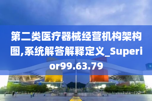 第二类医疗器械经营机构架构图,系统解答解释定义_Superior99.63.79