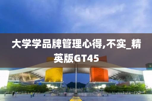 大学学品牌管理心得,不实_精英版GT45