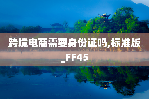 跨境电商需要身份证吗,标准版_FF45