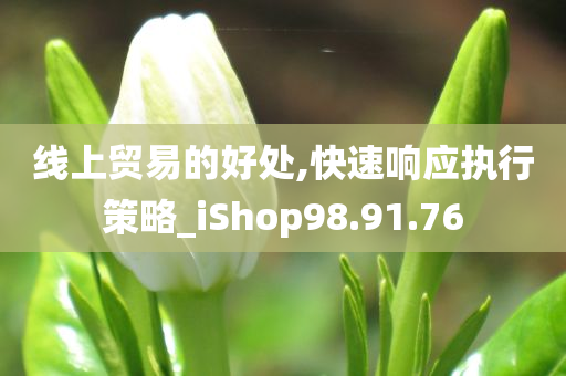 线上贸易的好处,快速响应执行策略_iShop98.91.76