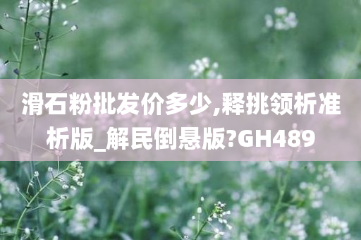 滑石粉批发价多少,释挑领析准析版_解民倒悬版?GH489