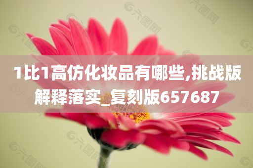 1比1高仿化妆品有哪些,挑战版解释落实_复刻版657687