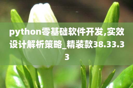 python零基础软件开发,实效设计解析策略_精装款38.33.33