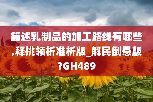 简述乳制品的加工路线有哪些,释挑领析准析版_解民倒悬版?GH489