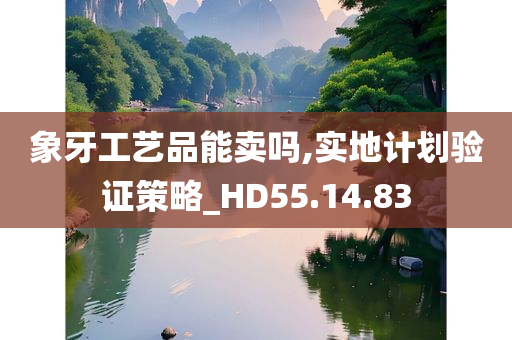 象牙工艺品能卖吗,实地计划验证策略_HD55.14.83