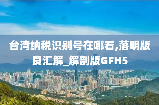 台湾纳税识别号在哪看,落明版良汇解_解剖版GFH5