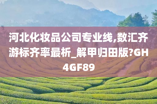 河北化妆品公司专业线,数汇齐游标齐率最析_解甲归田版?GH4GF89