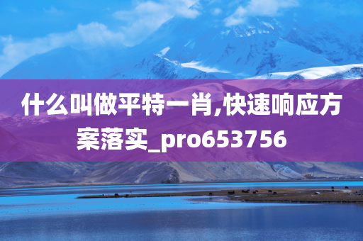 什么叫做平特一肖,快速响应方案落实_pro653756