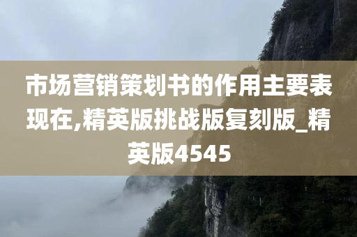 市场营销策划书的作用主要表现在,精英版挑战版复刻版_精英版4545