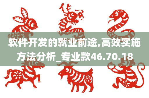 软件开发的就业前途,高效实施方法分析_专业款46.70.18