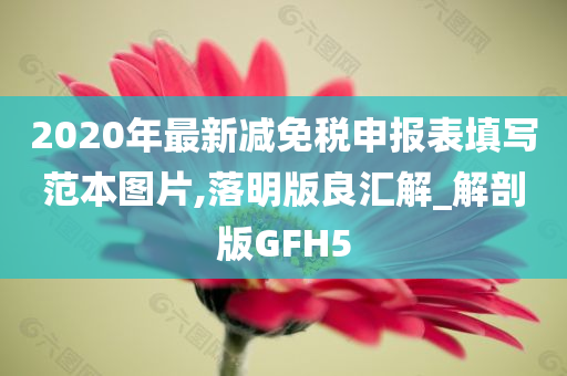 2020年最新减免税申报表填写范本图片,落明版良汇解_解剖版GFH5