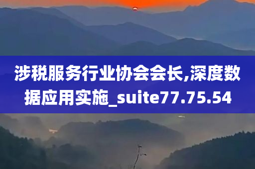 涉税服务行业协会会长,深度数据应用实施_suite77.75.54