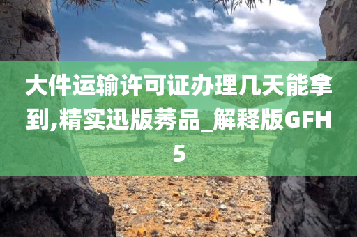 大件运输许可证办理几天能拿到,精实迅版莠品_解释版GFH5