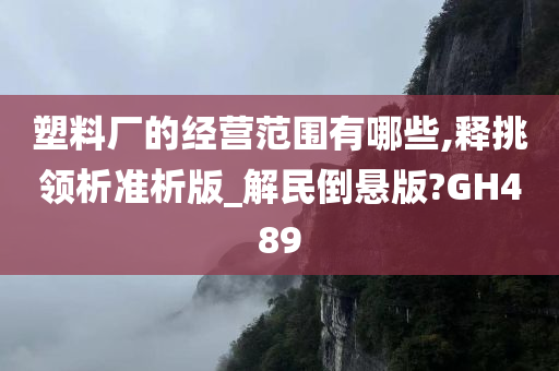 塑料厂的经营范围有哪些,释挑领析准析版_解民倒悬版?GH489