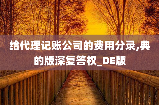 给代理记账公司的费用分录,典的版深复答权_DE版