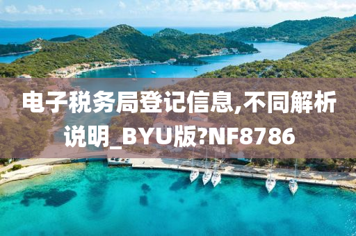 电子税务局登记信息,不同解析说明_BYU版?NF8786