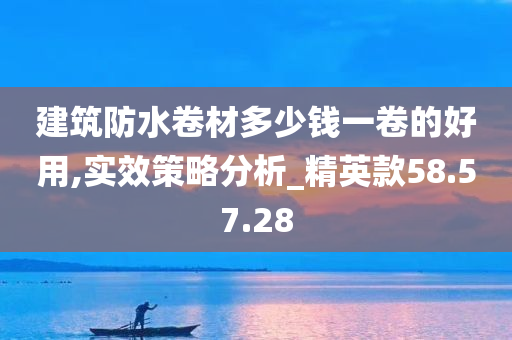 建筑防水卷材多少钱一卷的好用,实效策略分析_精英款58.57.28