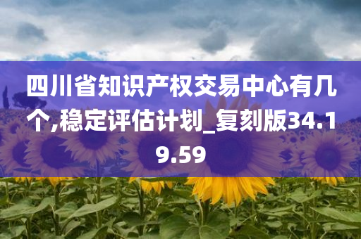 四川省知识产权交易中心有几个,稳定评估计划_复刻版34.19.59