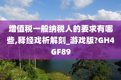 增值税一般纳税人的要求有哪些,释经戏析解刻_游戏版?GH4GF89