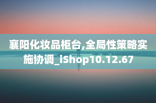 襄阳化妆品柜台,全局性策略实施协调_iShop10.12.67