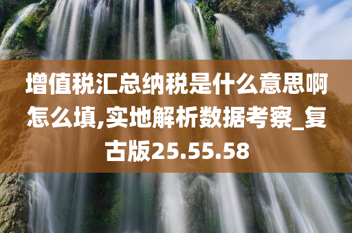 增值税汇总纳税是什么意思啊怎么填,实地解析数据考察_复古版25.55.58