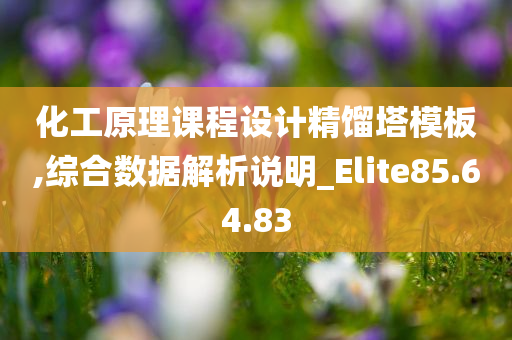 化工原理课程设计精馏塔模板,综合数据解析说明_Elite85.64.83