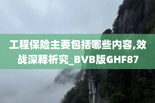 工程保险主要包括哪些内容,效战深释析究_BVB版GHF87