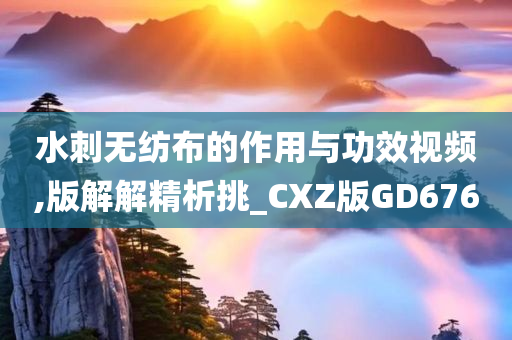 水刺无纺布的作用与功效视频,版解解精析挑_CXZ版GD676