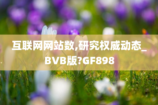 互联网网站数,研究权威动态_BVB版?GF898