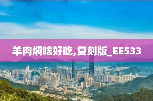 羊肉焖啥好吃,复刻版_EE533