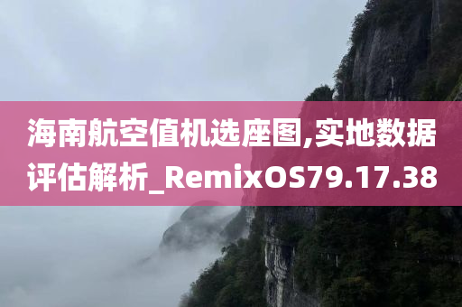 海南航空值机选座图,实地数据评估解析_RemixOS79.17.38