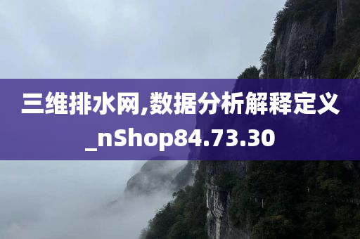 三维排水网,数据分析解释定义_nShop84.73.30