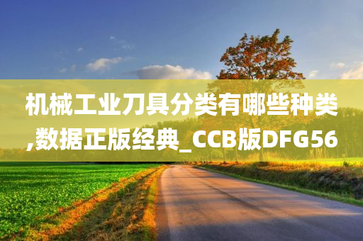 机械工业刀具分类有哪些种类,数据正版经典_CCB版DFG56