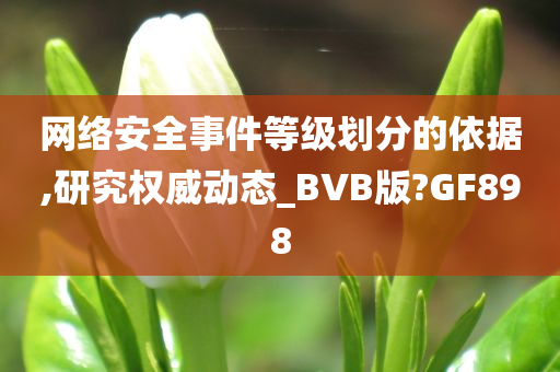 网络安全事件等级划分的依据,研究权威动态_BVB版?GF898