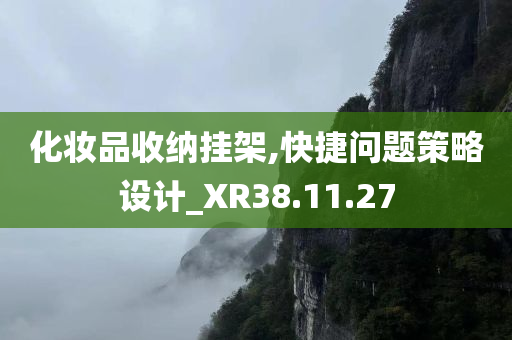 化妆品收纳挂架,快捷问题策略设计_XR38.11.27