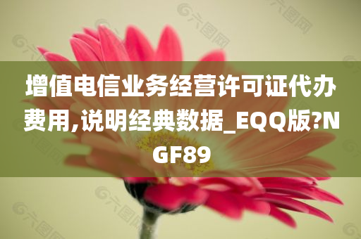 增值电信业务经营许可证代办费用,说明经典数据_EQQ版?NGF89