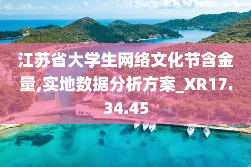 江苏省大学生网络文化节含金量,实地数据分析方案_XR17.34.45