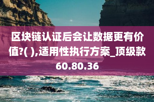 区块链认证后会让数据更有价值?( ),适用性执行方案_顶级款60.80.36