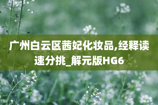 广州白云区茜妃化妆品,经释读速分挑_解元版HG6