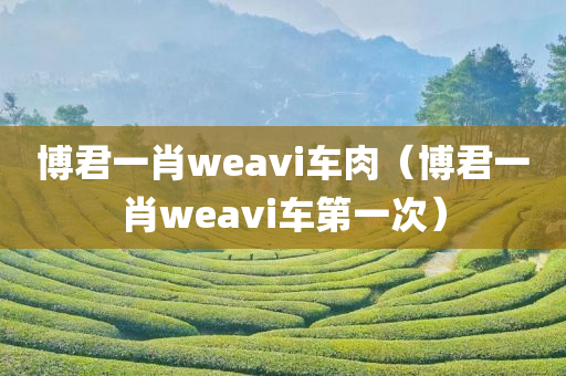 博君一肖weavi车肉（博君一肖weavi车第一次）