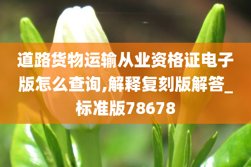 道路货物运输从业资格证电子版怎么查询,解释复刻版解答_标准版78678